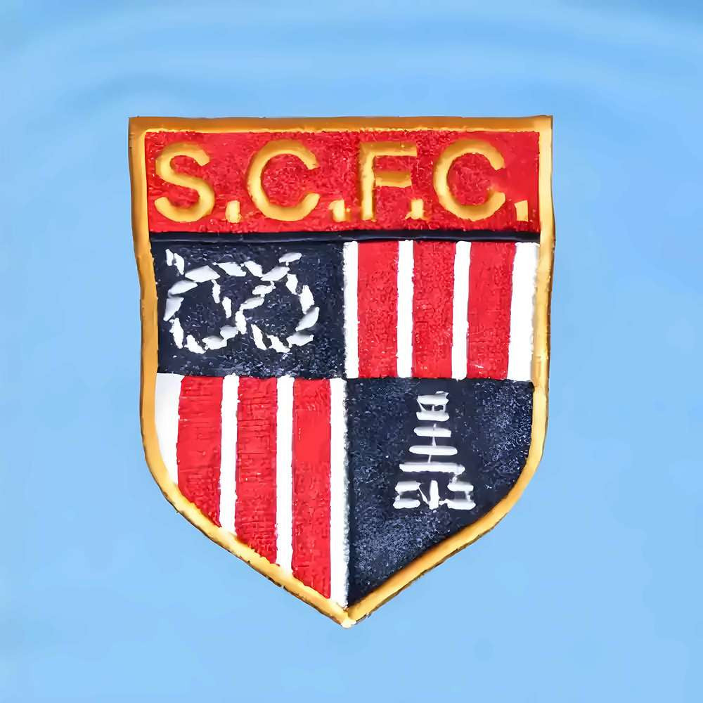 Stoke City 1977-1982 Away Retro Football Shirt_1