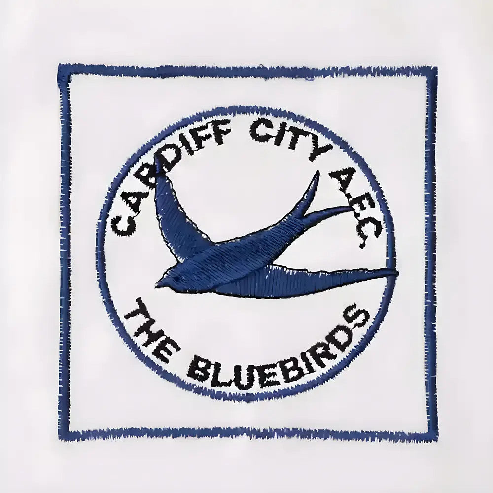 Cardiff City 1960s Away Retro Football Shirt_1