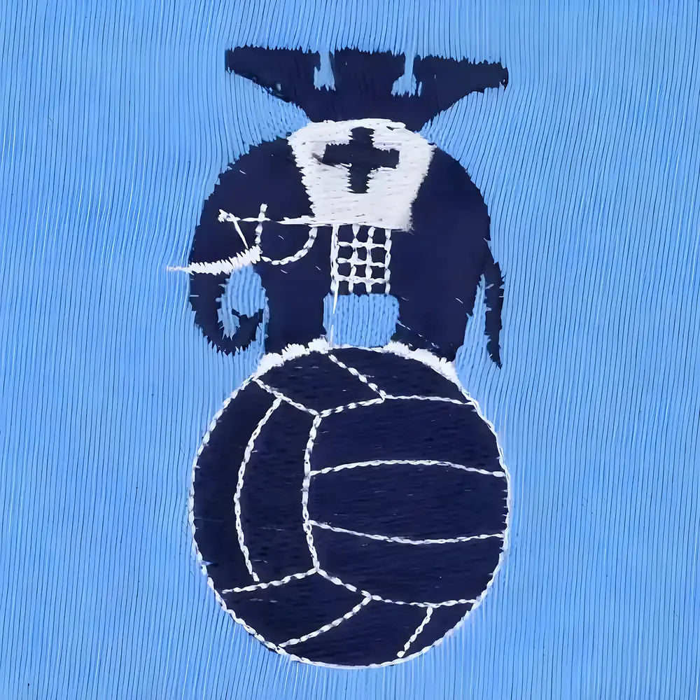 Coventry City 1970s Home Retro Football Shirt_1