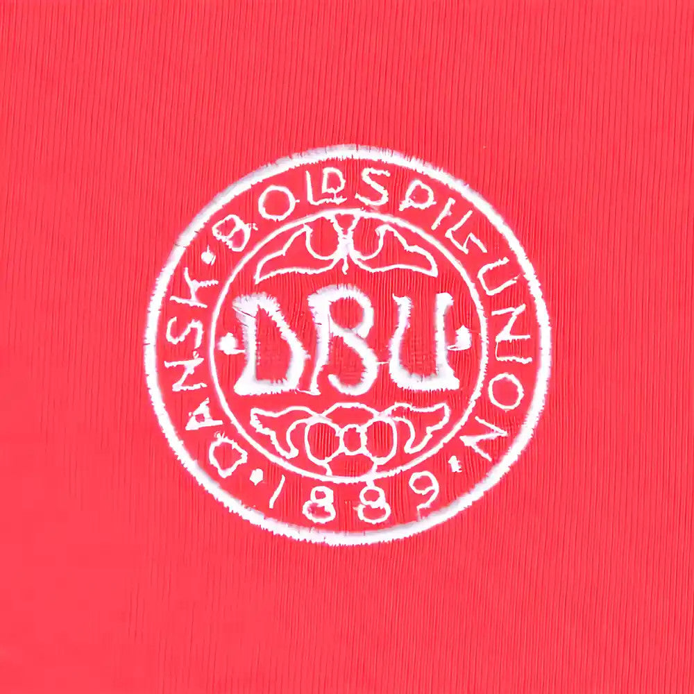 Denmark 1960s Retro Football Shirt_1