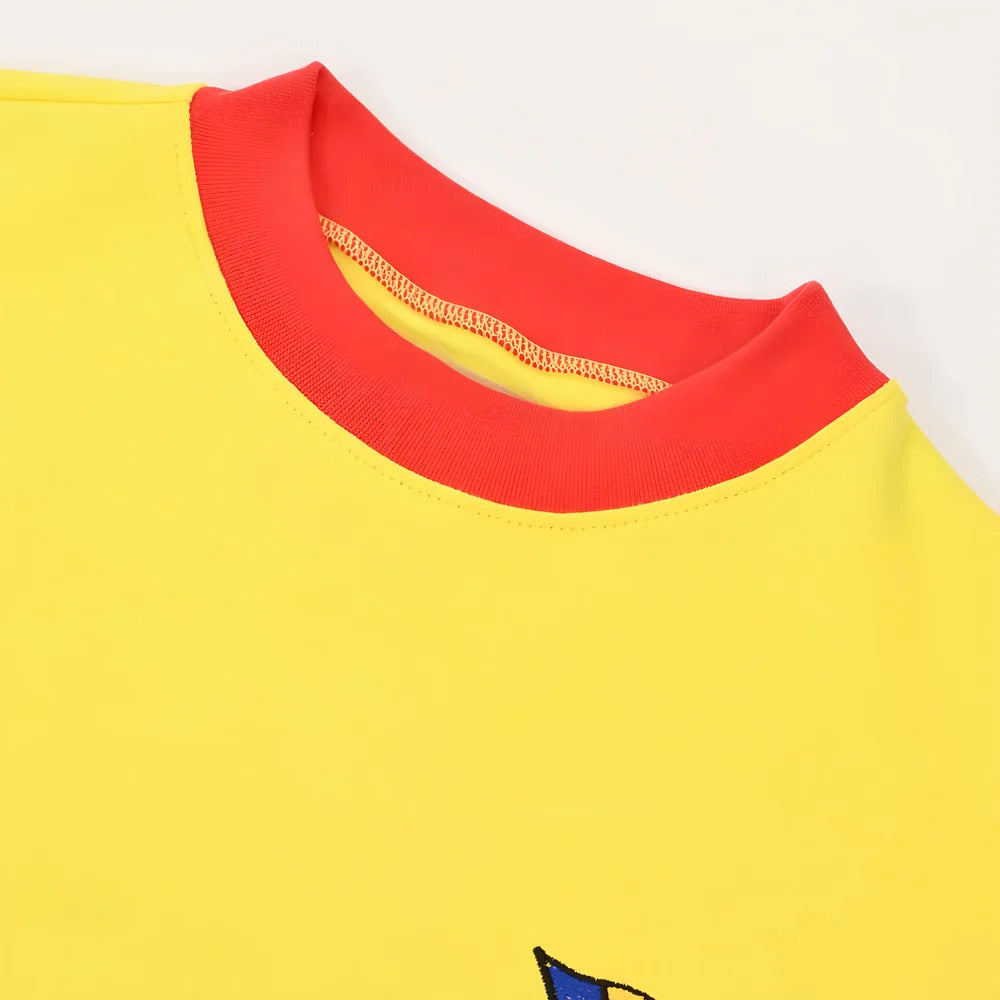 Romania 1960s Retro Football Shirt_2