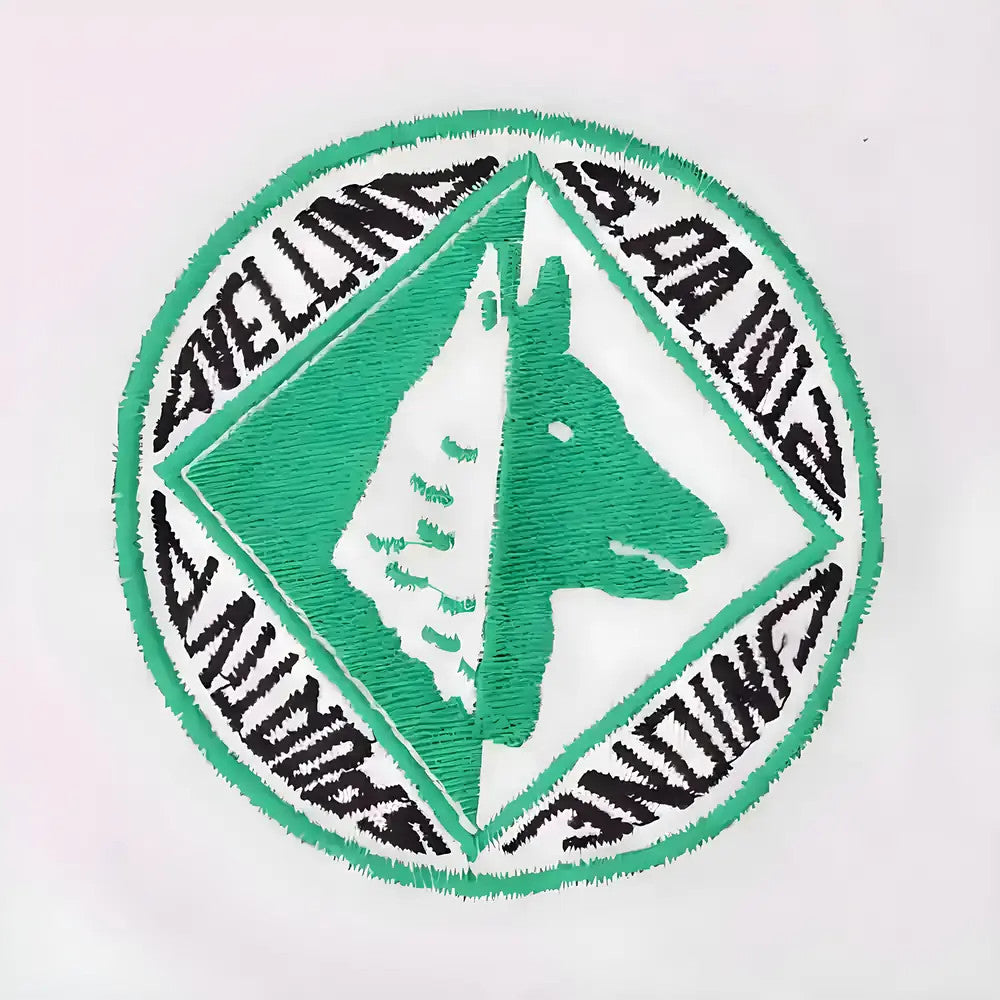 Avellino 1950s Retro Football Shirt_1