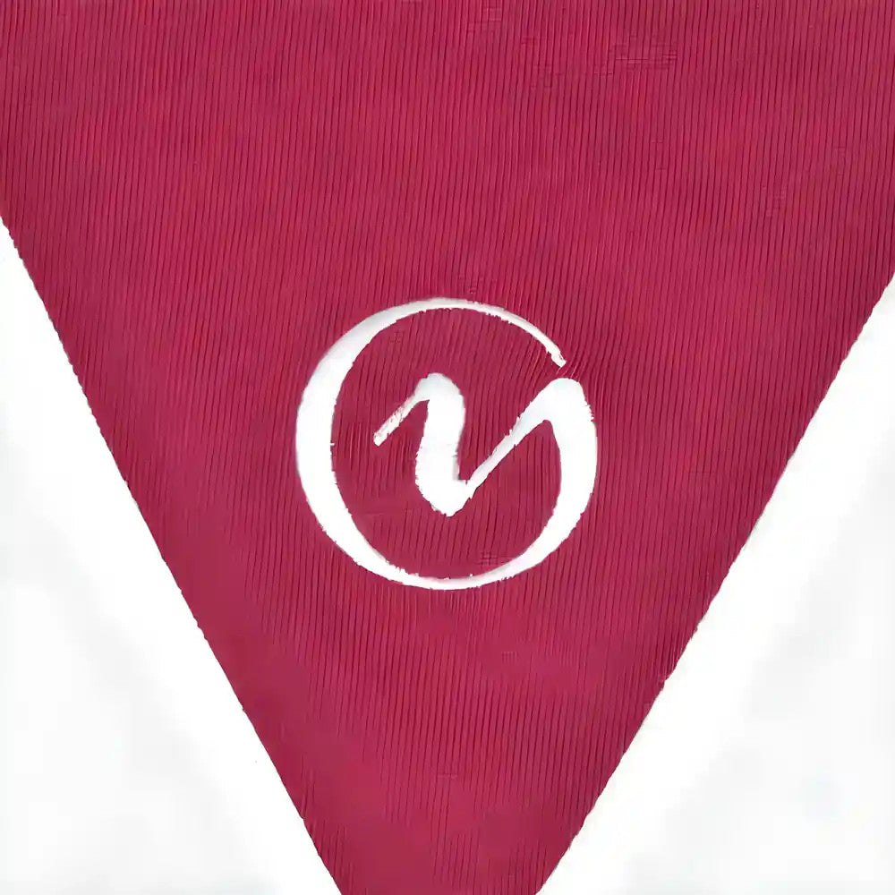 Aldershot Town 1970s Retro Football Shirt_2