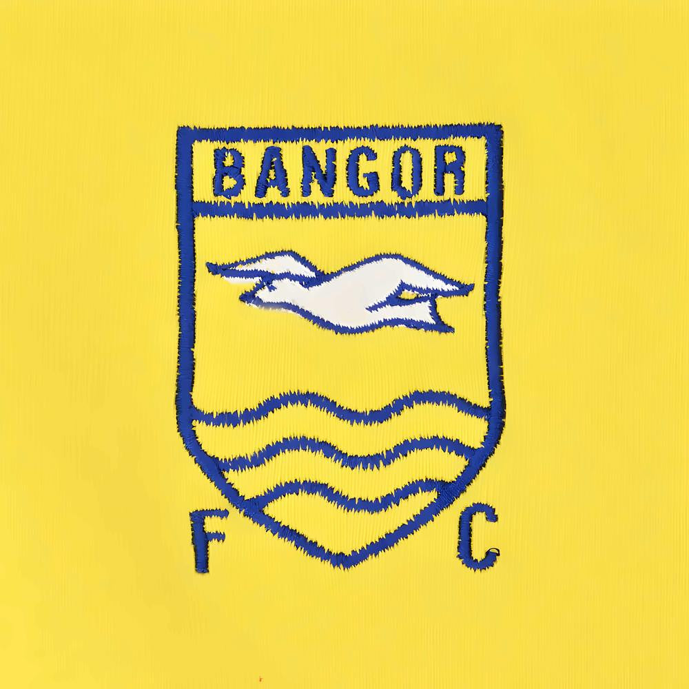 Bangor 1970s Kids Retro Football Shirt_1
