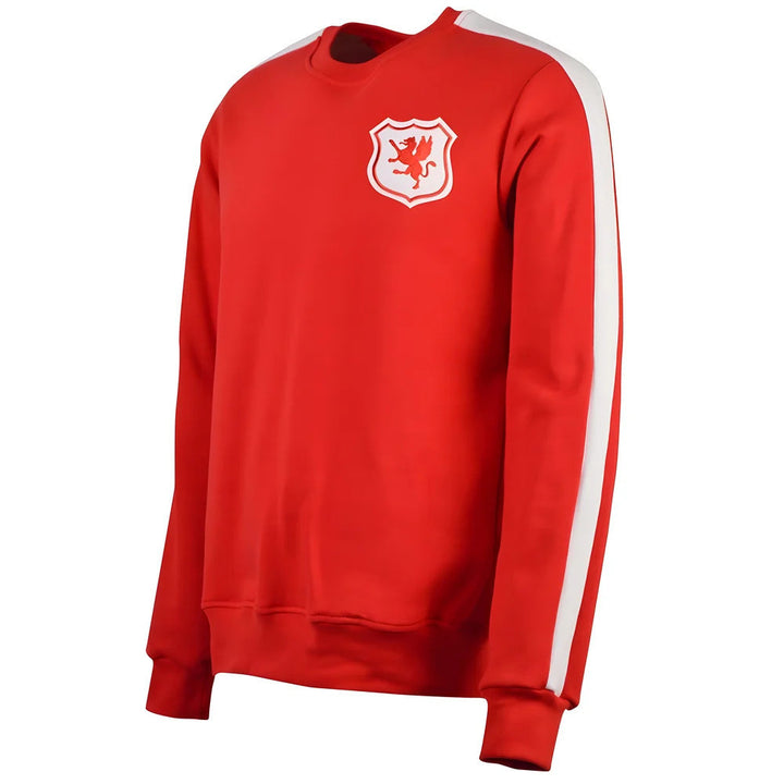 Wales Sweatshirt_0