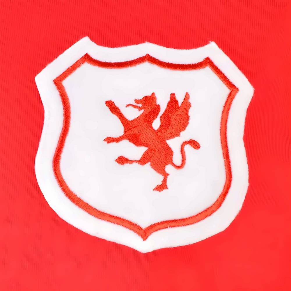 Wales 1920 Retro Football Shirt_1