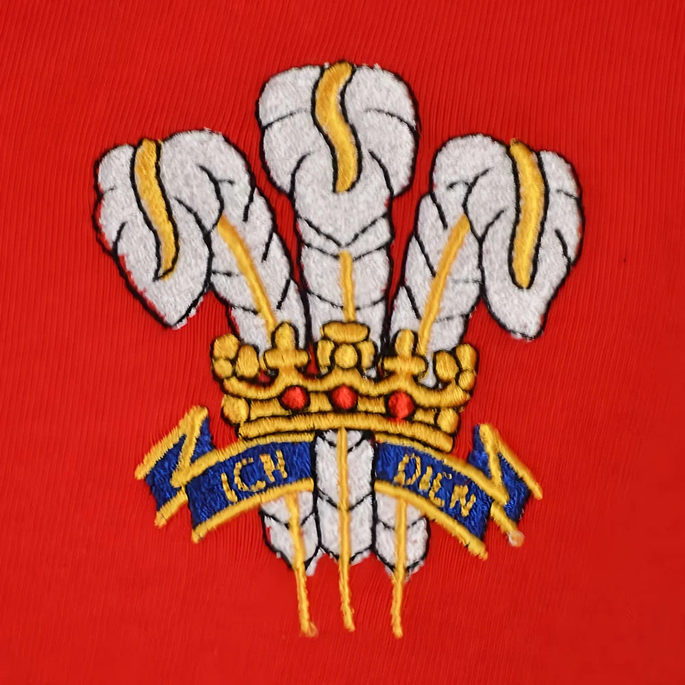 Wales Rugby World Cup Polo_1