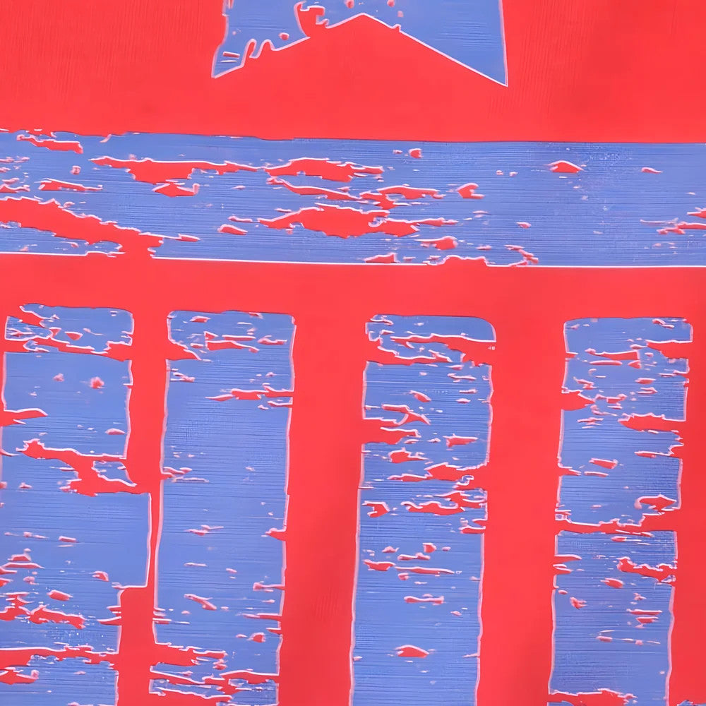 Chile T-Shirt - Red/White Ringer_1