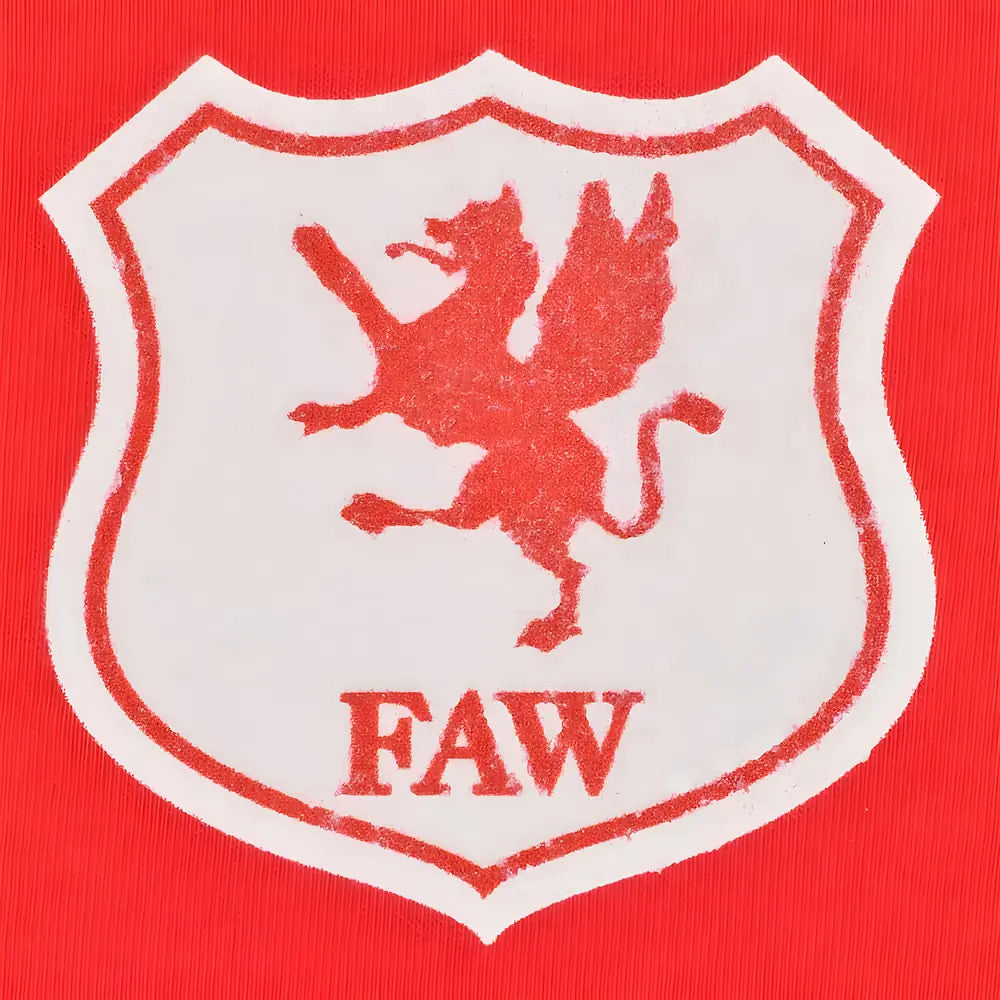 Wales 11 12th Man T-Shirt - Red/White Ringer_2