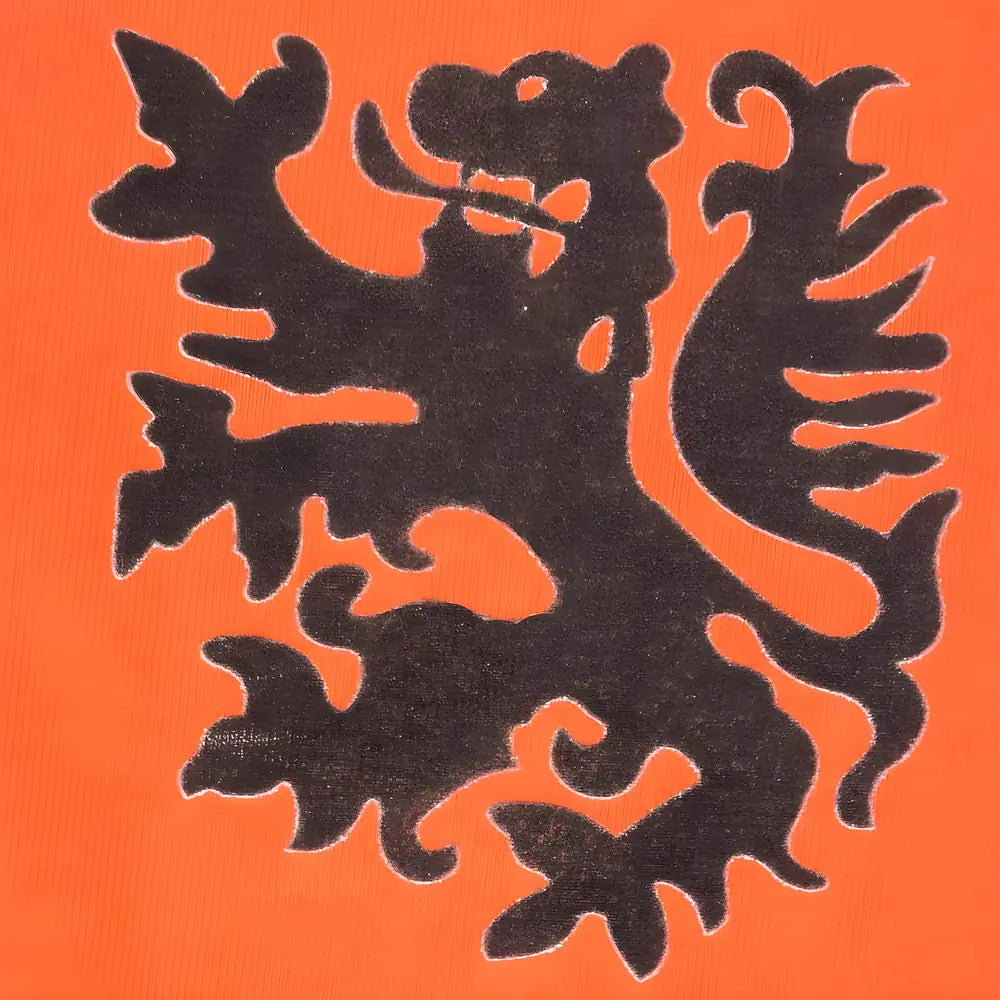 Holland 14 12th Man T-Shirt - Orange_2