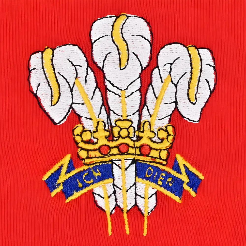 Wales 1976 Vintage Rugby Shirt_1