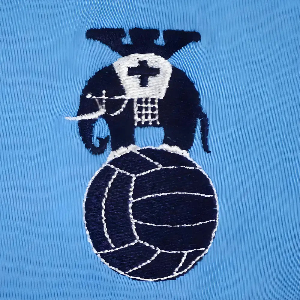Coventry City T-Shirt - Sky/Navy_2