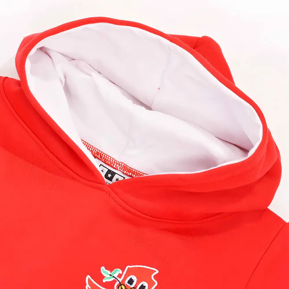 Kids Liverpool Hoodie - Red/White_2